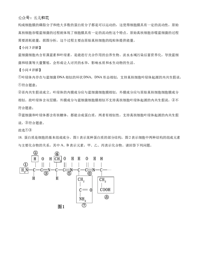 贵州省六盘水市2024&mdash;2025学年高一上学期期中考试生物试题Word版含解析_2024年12月试卷_1203贵州省六盘水市2024-2025学年高一上学期11月期中考试