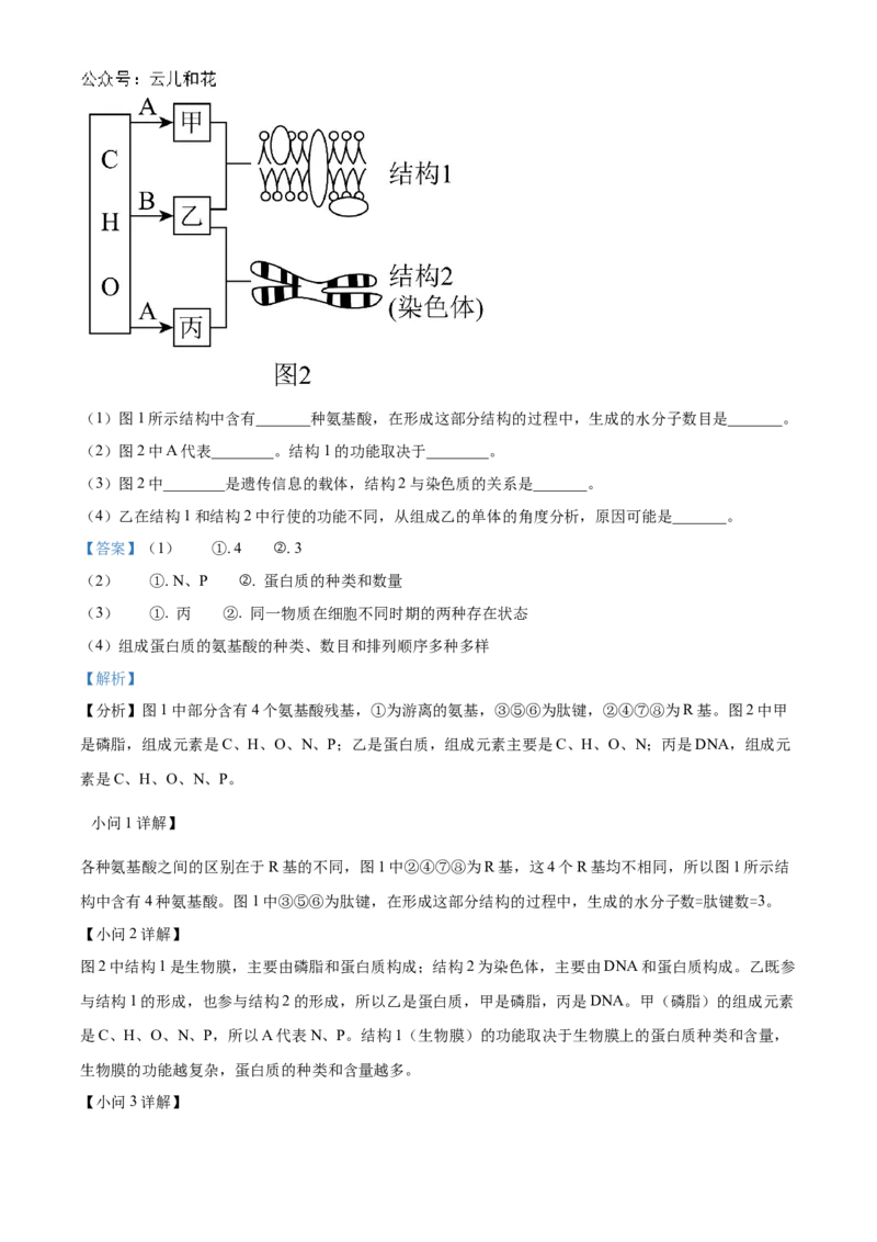 贵州省六盘水市2024&mdash;2025学年高一上学期期中考试生物试题Word版含解析_2024年12月试卷_1203贵州省六盘水市2024-2025学年高一上学期11月期中考试