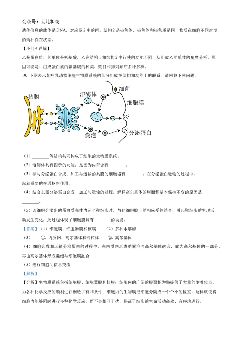 贵州省六盘水市2024&mdash;2025学年高一上学期期中考试生物试题Word版含解析_2024年12月试卷_1203贵州省六盘水市2024-2025学年高一上学期11月期中考试
