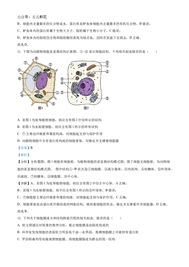 贵州省六盘水市2024&mdash;2025学年高一上学期期中考试生物试题Word版含解析_2024年12月试卷_1203贵州省六盘水市2024-2025学年高一上学期11月期中考试