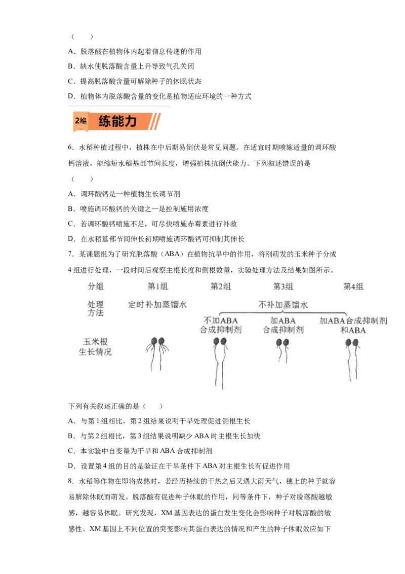 课时33其他植物激素及其应用-2023年高考生物一轮复习小题多维练（原卷版）_通用版（老高考）复习资料_2023年复习资料_一轮复习_2023年高考生物一轮复习小题多维练（全国通用）