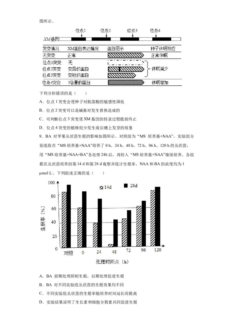 课时33其他植物激素及其应用-2023年高考生物一轮复习小题多维练（原卷版）_通用版（老高考）复习资料_2023年复习资料_一轮复习_2023年高考生物一轮复习小题多维练（全国通用）