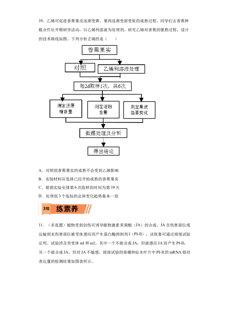 课时33其他植物激素及其应用-2023年高考生物一轮复习小题多维练（原卷版）_通用版（老高考）复习资料_2023年复习资料_一轮复习_2023年高考生物一轮复习小题多维练（全国通用）