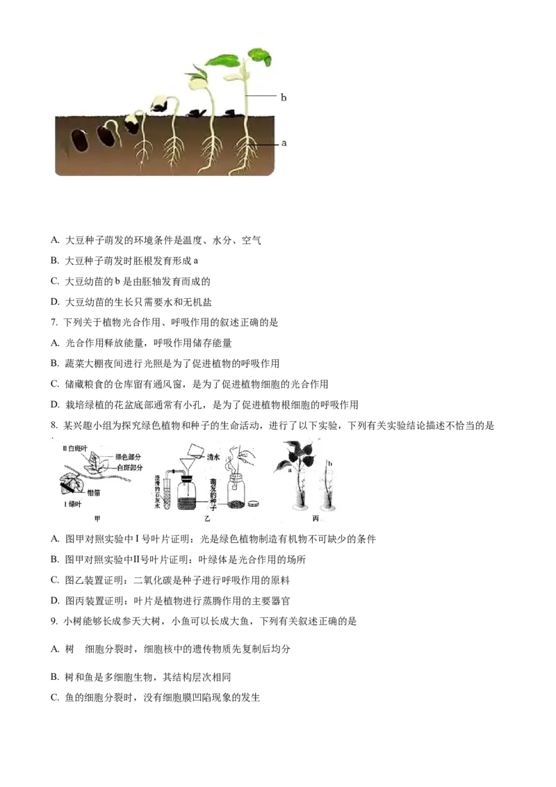 精品解析：2022年内蒙古赤峰市中考生物真题（原卷版）_6生物中考复习_2025中考复习资料_中考真题（近三年）_2022年生物中考真题114份_精品解析：2022年内蒙古赤峰市中考生物真题