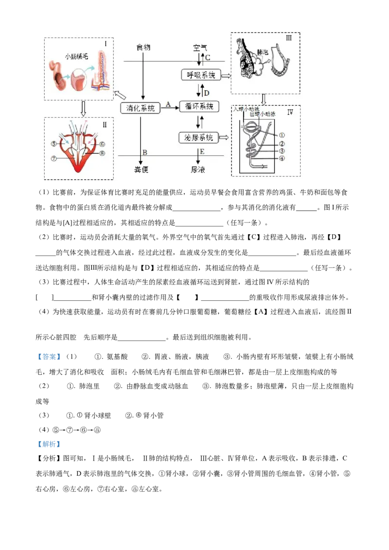 精品解析：2022年山东省临沂市中考生物真题（解析版）_6生物中考复习_2025中考复习资料_中考真题（近三年）_2022年生物中考真题114份_精品解析：2022年山东省临沂市中考生物真题