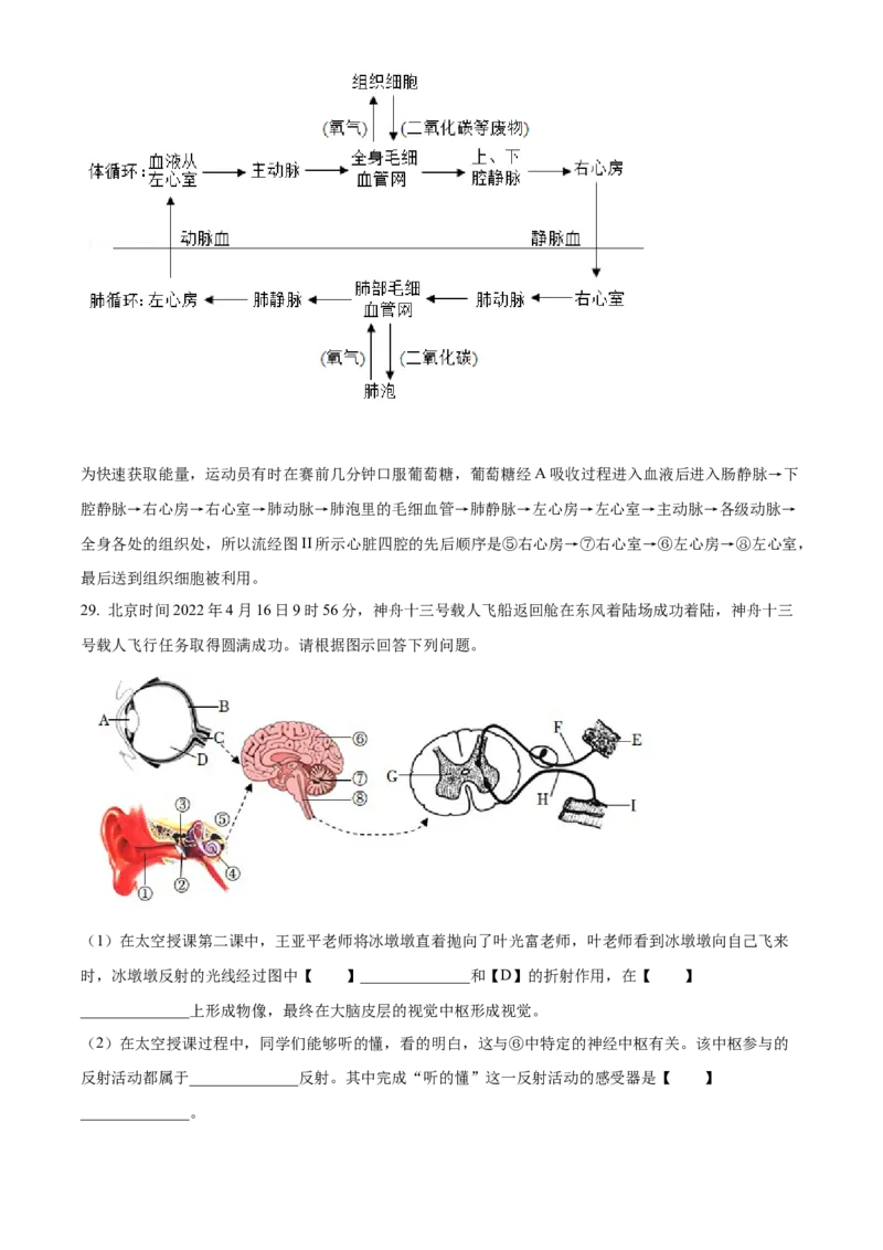 精品解析：2022年山东省临沂市中考生物真题（解析版）_6生物中考复习_2025中考复习资料_中考真题（近三年）_2022年生物中考真题114份_精品解析：2022年山东省临沂市中考生物真题