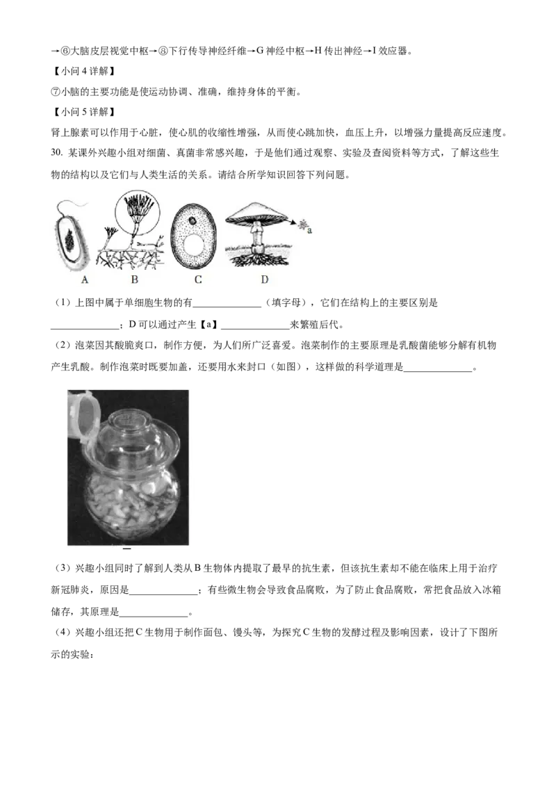 精品解析：2022年山东省临沂市中考生物真题（解析版）_6生物中考复习_2025中考复习资料_中考真题（近三年）_2022年生物中考真题114份_精品解析：2022年山东省临沂市中考生物真题