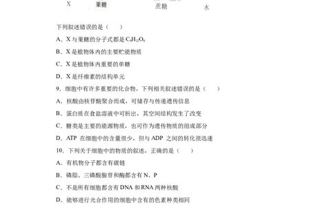 课时02有机物的种类、功能的分析与判断-2023年高考生物一轮复习小题多维练（原卷版）_通用版（老高考）复习资料_2023年复习资料_一轮复习