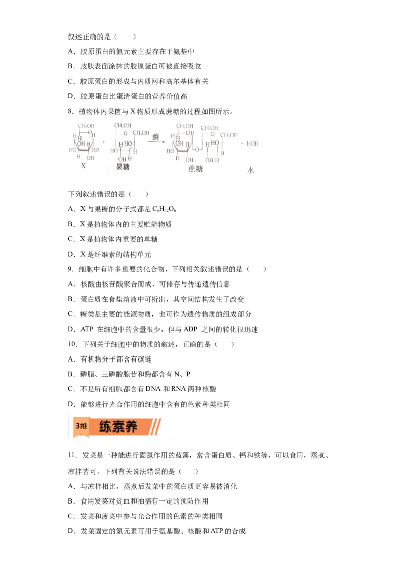 课时02有机物的种类、功能的分析与判断-2023年高考生物一轮复习小题多维练（原卷版）_通用版（老高考）复习资料_2023年复习资料_一轮复习