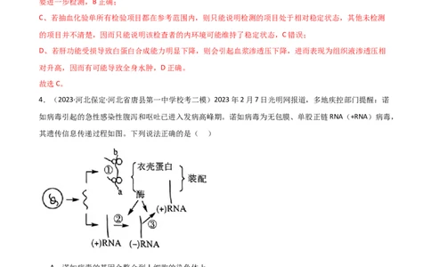 选择性必修1稳态与调节测试卷（解析版）_新高考复习资料_2024年新高考复习资料_❤专项复习资料_完一轮测试备战2024年高考生物按教材测试卷（新教材新高考）