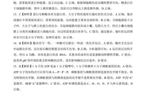 辽宁高一12月-生物学答案_2024年12月试卷_1212辽宁省朝阳市重点高中2024-2025学年高一上学期12月联考试题_辽宁省朝阳市重点高中2024-2025学年高一上学期12月联考试题生物PDF版含解析