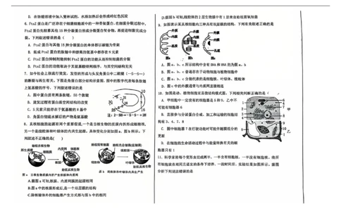 辽宁省七校协作体2025-2026学年高一上学期11月期中生物试题_2025年12月高一试卷_251203辽宁省七校协作体2025-2026学年高一上学期11月期中联考（全）
