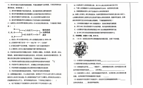 辽宁省七校协作体2025-2026学年高一上学期11月期中生物试题_2025年12月高一试卷_251203辽宁省七校协作体2025-2026学年高一上学期11月期中联考（全）