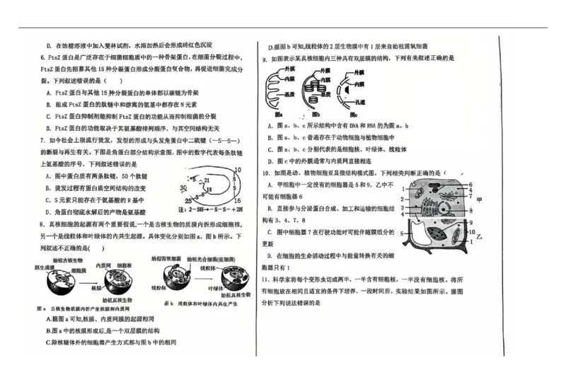 辽宁省七校协作体2025-2026学年高一上学期11月期中生物试题_2025年12月高一试卷_251203辽宁省七校协作体2025-2026学年高一上学期11月期中联考（全）