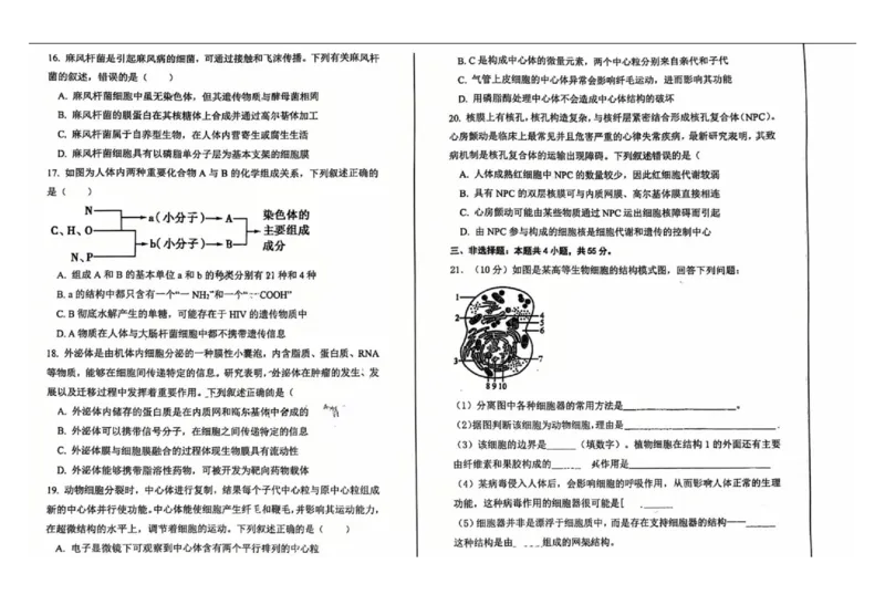 辽宁省七校协作体2025-2026学年高一上学期11月期中生物试题_2025年12月高一试卷_251203辽宁省七校协作体2025-2026学年高一上学期11月期中联考（全）