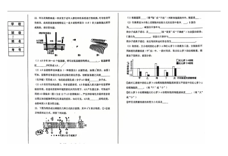 辽宁省七校协作体2025-2026学年高一上学期11月期中生物试题_2025年12月高一试卷_251203辽宁省七校协作体2025-2026学年高一上学期11月期中联考（全）
