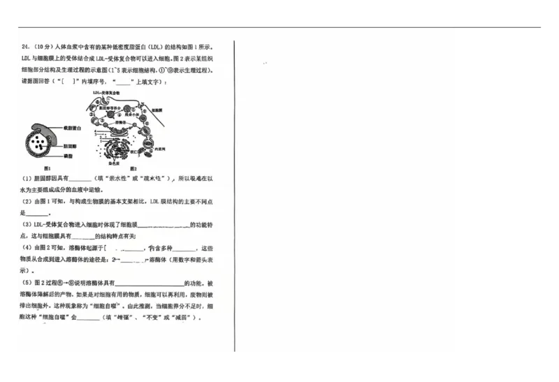 辽宁省七校协作体2025-2026学年高一上学期11月期中生物试题_2025年12月高一试卷_251203辽宁省七校协作体2025-2026学年高一上学期11月期中联考（全）