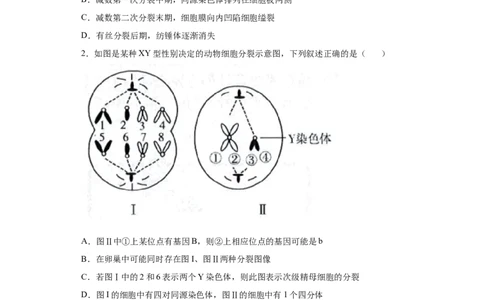 课时12减数分裂与有丝分裂的综合-2023年高考生物一轮复习小题多维练（原卷版）_通用版（老高考）复习资料_2023年复习资料_一轮复习_2023年高考生物一轮复习小题多维练（全国通用）