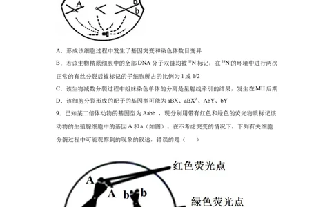 课时12减数分裂与有丝分裂的综合-2023年高考生物一轮复习小题多维练（原卷版）_通用版（老高考）复习资料_2023年复习资料_一轮复习_2023年高考生物一轮复习小题多维练（全国通用）