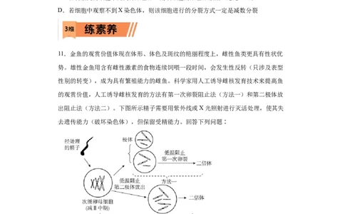 课时12减数分裂与有丝分裂的综合-2023年高考生物一轮复习小题多维练（原卷版）_通用版（老高考）复习资料_2023年复习资料_一轮复习_2023年高考生物一轮复习小题多维练（全国通用）