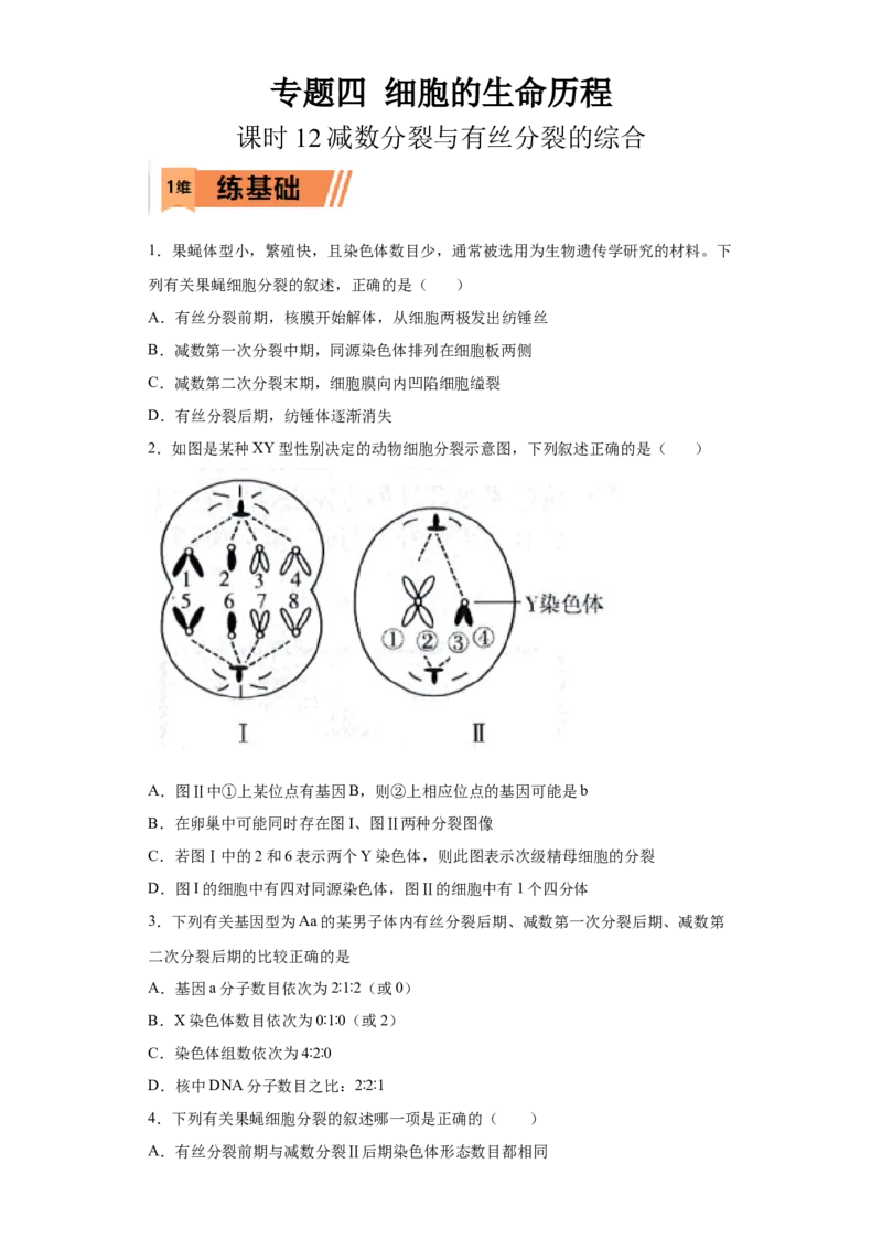 课时12减数分裂与有丝分裂的综合-2023年高考生物一轮复习小题多维练（原卷版）_通用版（老高考）复习资料_2023年复习资料_一轮复习_2023年高考生物一轮复习小题多维练（全国通用）