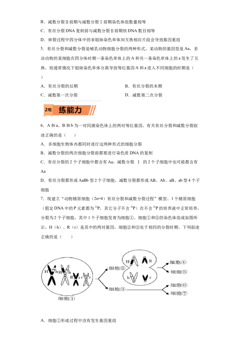 课时12减数分裂与有丝分裂的综合-2023年高考生物一轮复习小题多维练（原卷版）_通用版（老高考）复习资料_2023年复习资料_一轮复习_2023年高考生物一轮复习小题多维练（全国通用）