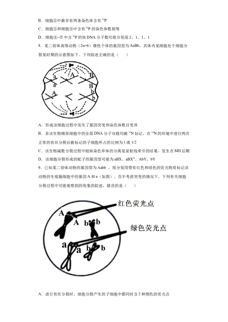 课时12减数分裂与有丝分裂的综合-2023年高考生物一轮复习小题多维练（原卷版）_通用版（老高考）复习资料_2023年复习资料_一轮复习_2023年高考生物一轮复习小题多维练（全国通用）