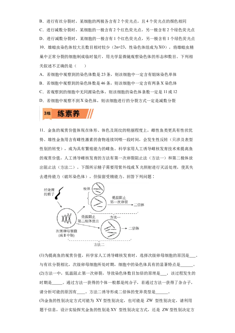 课时12减数分裂与有丝分裂的综合-2023年高考生物一轮复习小题多维练（原卷版）_通用版（老高考）复习资料_2023年复习资料_一轮复习_2023年高考生物一轮复习小题多维练（全国通用）