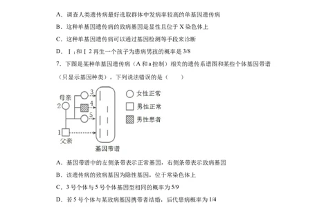 课时21人类遗传病及遗传系谱图的分析和计算-2023年高考生物一轮复习小题多维练（原卷版）_通用版（老高考）复习资料_2023年复习资料_一轮复习