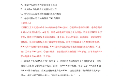 课时16基因的表达及对性状的控制-2023年高考生物一轮复习小题多维练（解析版）_通用版（老高考）复习资料_2023年复习资料_一轮复习_2023年高考生物一轮复习小题多维练（全国通用）