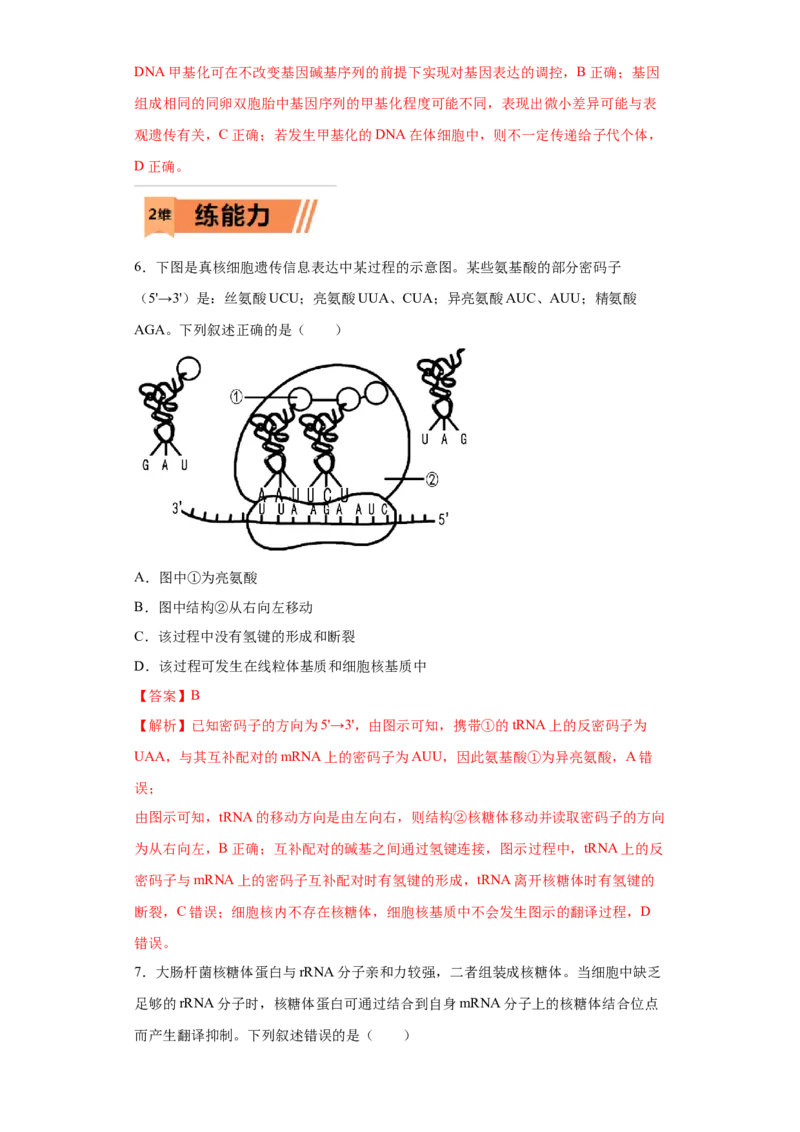 课时16基因的表达及对性状的控制-2023年高考生物一轮复习小题多维练（解析版）_通用版（老高考）复习资料_2023年复习资料_一轮复习_2023年高考生物一轮复习小题多维练（全国通用）