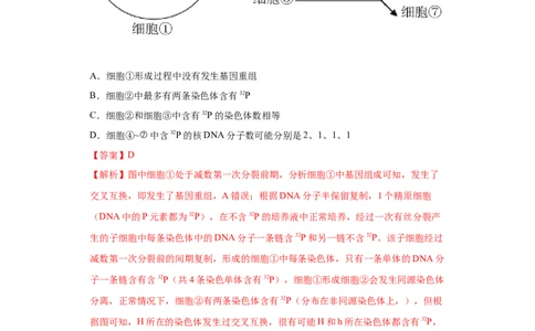 课时12减数分裂与有丝分裂的综合-2023年高考生物一轮复习小题多维练（解析版）_通用版（老高考）复习资料_2023年复习资料_一轮复习_2023年高考生物一轮复习小题多维练（全国通用）
