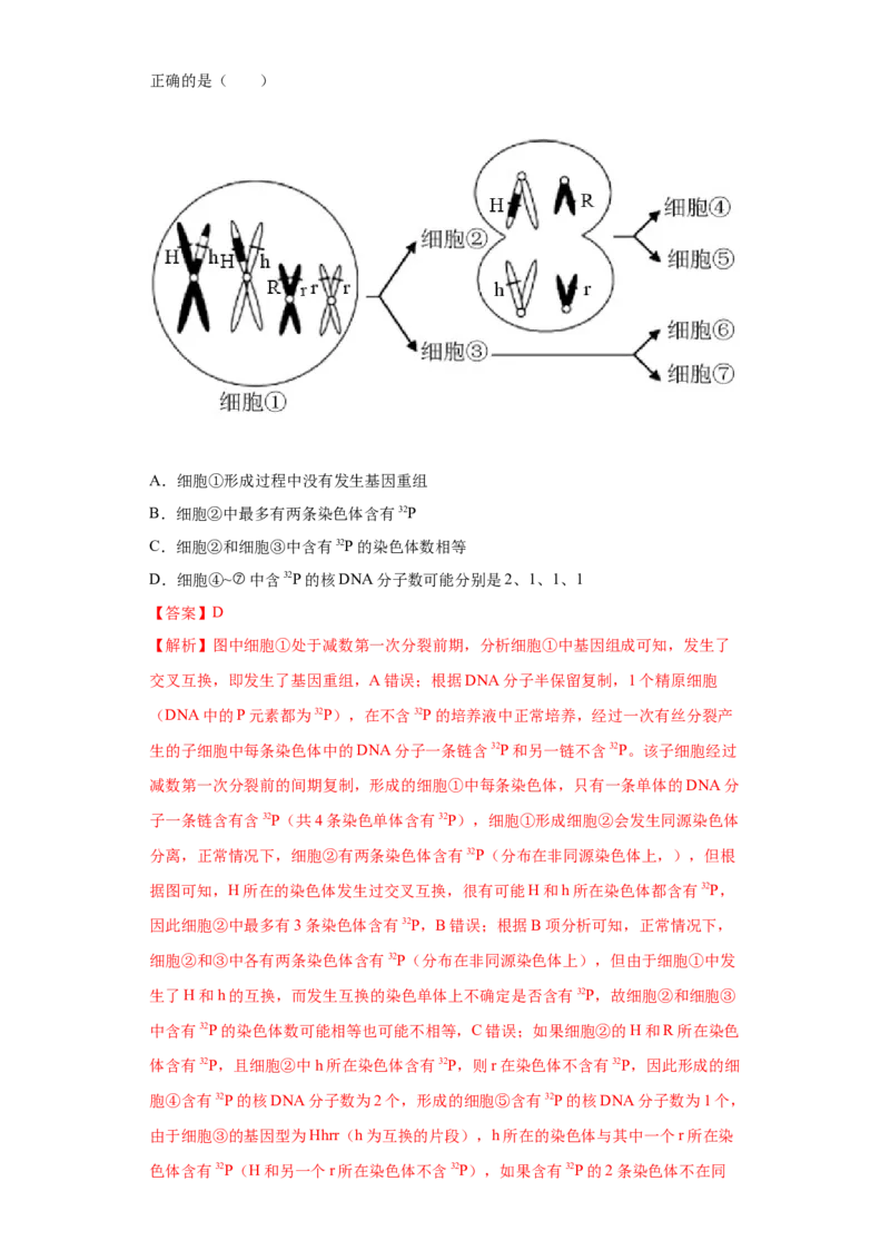 课时12减数分裂与有丝分裂的综合-2023年高考生物一轮复习小题多维练（解析版）_通用版（老高考）复习资料_2023年复习资料_一轮复习_2023年高考生物一轮复习小题多维练（全国通用）
