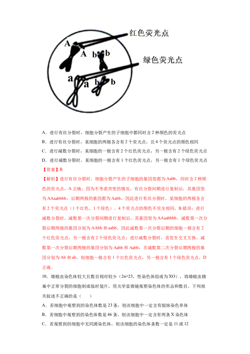 课时12减数分裂与有丝分裂的综合-2023年高考生物一轮复习小题多维练（解析版）_通用版（老高考）复习资料_2023年复习资料_一轮复习_2023年高考生物一轮复习小题多维练（全国通用）
