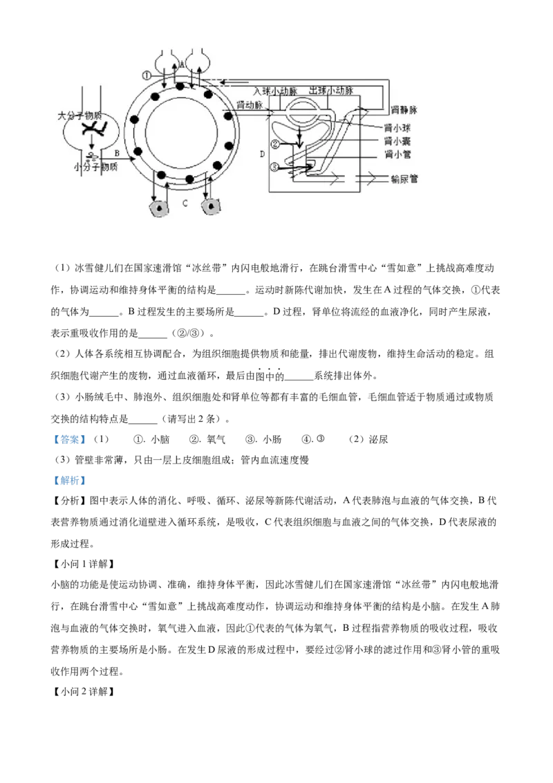精品解析：2022年山东省济宁市学业水平测试生物试题（解析版）_6生物中考复习_2025中考复习资料_中考真题（近三年）_2022年生物中考真题114份