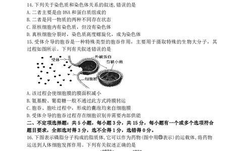 辽宁省丹东市2024-2025学年高一上学期教学质量调研测试生物试卷_2024年12月试卷_1213辽宁省丹东市2024-2025学年高一上学期12月教学质量调研测试