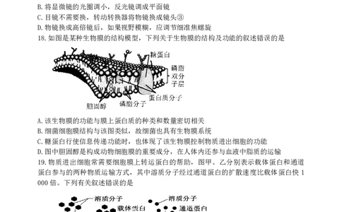 辽宁省丹东市2024-2025学年高一上学期教学质量调研测试生物试卷_2024年12月试卷_1213辽宁省丹东市2024-2025学年高一上学期12月教学质量调研测试