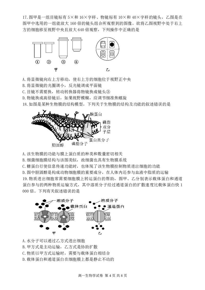 辽宁省丹东市2024-2025学年高一上学期教学质量调研测试生物试卷_2024年12月试卷_1213辽宁省丹东市2024-2025学年高一上学期12月教学质量调研测试