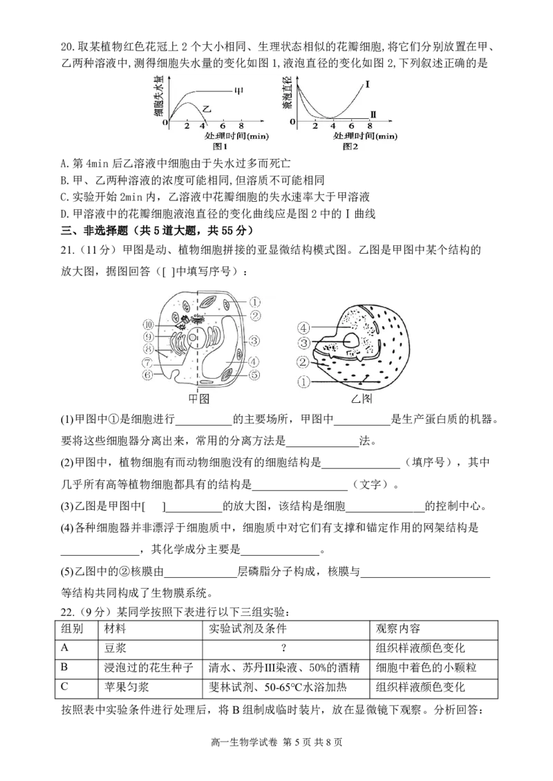 辽宁省丹东市2024-2025学年高一上学期教学质量调研测试生物试卷_2024年12月试卷_1213辽宁省丹东市2024-2025学年高一上学期12月教学质量调研测试