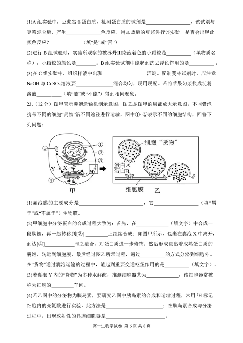 辽宁省丹东市2024-2025学年高一上学期教学质量调研测试生物试卷_2024年12月试卷_1213辽宁省丹东市2024-2025学年高一上学期12月教学质量调研测试