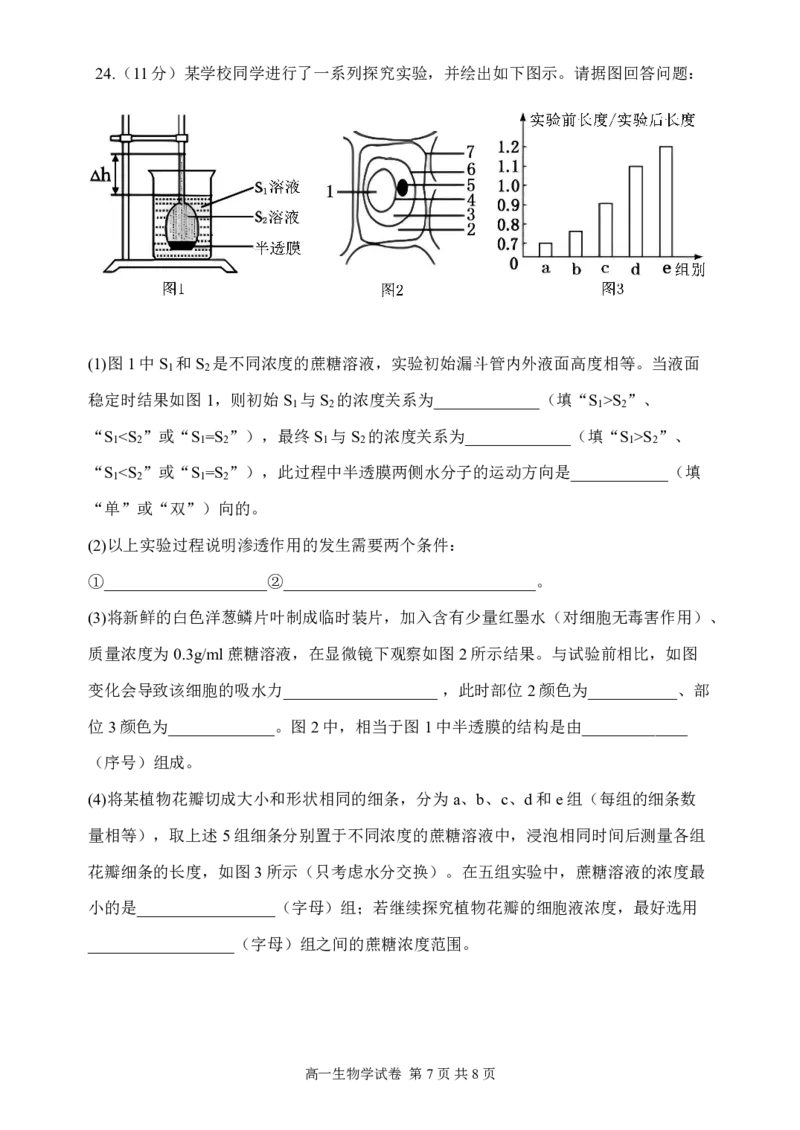 辽宁省丹东市2024-2025学年高一上学期教学质量调研测试生物试卷_2024年12月试卷_1213辽宁省丹东市2024-2025学年高一上学期12月教学质量调研测试