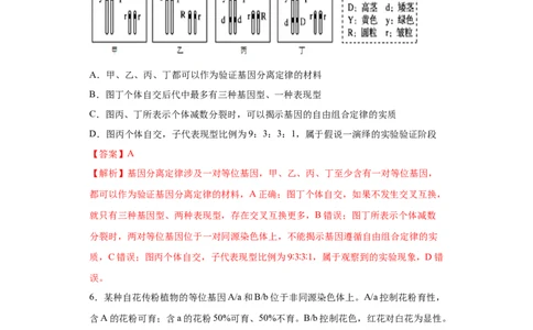 课时19自由组合定律及巧解特殊分离比-2023年高考生物一轮复习小题多维练（解析版）_通用版（老高考）复习资料_2023年复习资料_一轮复习_2023年高考生物一轮复习小题多维练（全国通用）