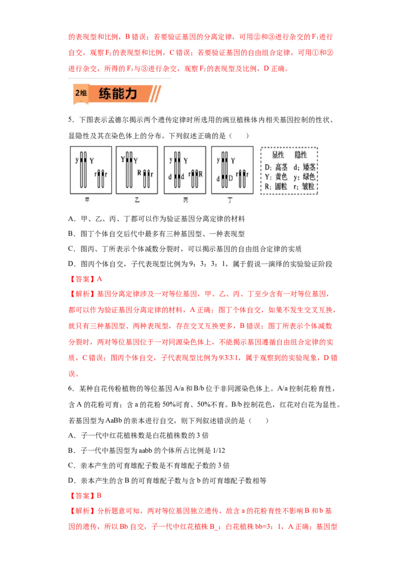课时19自由组合定律及巧解特殊分离比-2023年高考生物一轮复习小题多维练（解析版）_通用版（老高考）复习资料_2023年复习资料_一轮复习_2023年高考生物一轮复习小题多维练（全国通用）