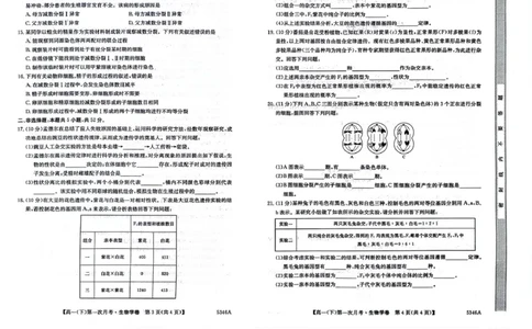 贵州省六盘水市六枝特区六盘水市纽绅中学2024-2025学年高一下学期4月月考生物试题_2025年05月试卷_0507贵州省六盘水市纽绅中学2024-2025学年高一下学期第一次月考（4月）