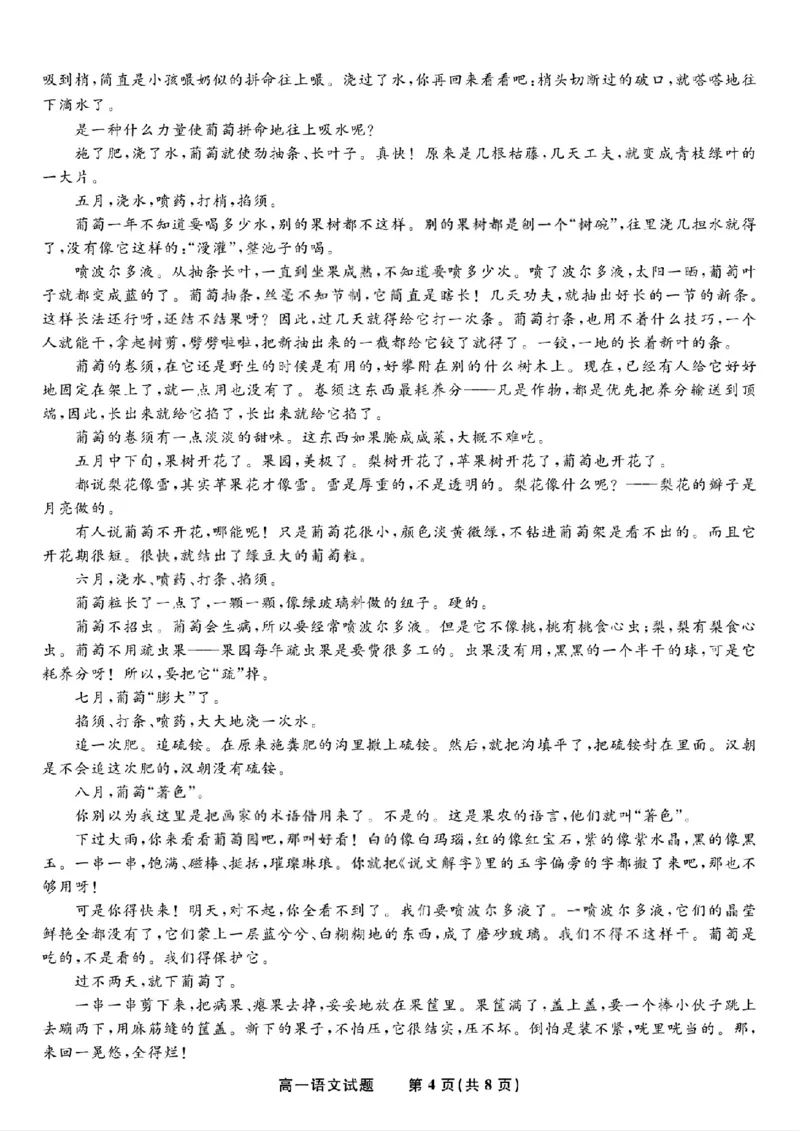 语文试题&middot;2026年2月高一期末_2026年02月高一试卷_260208安徽省皖江名校联盟2025-2026学年上学期高一期末考试（全）