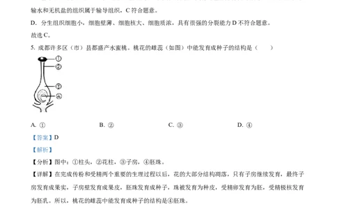 精品解析：2022年四川省成都市中考生物真题（解析版）_6生物中考复习_2025中考复习资料_中考真题（近三年）_2022年生物中考真题114份_精品解析：2022年四川省成都市中考生物真题