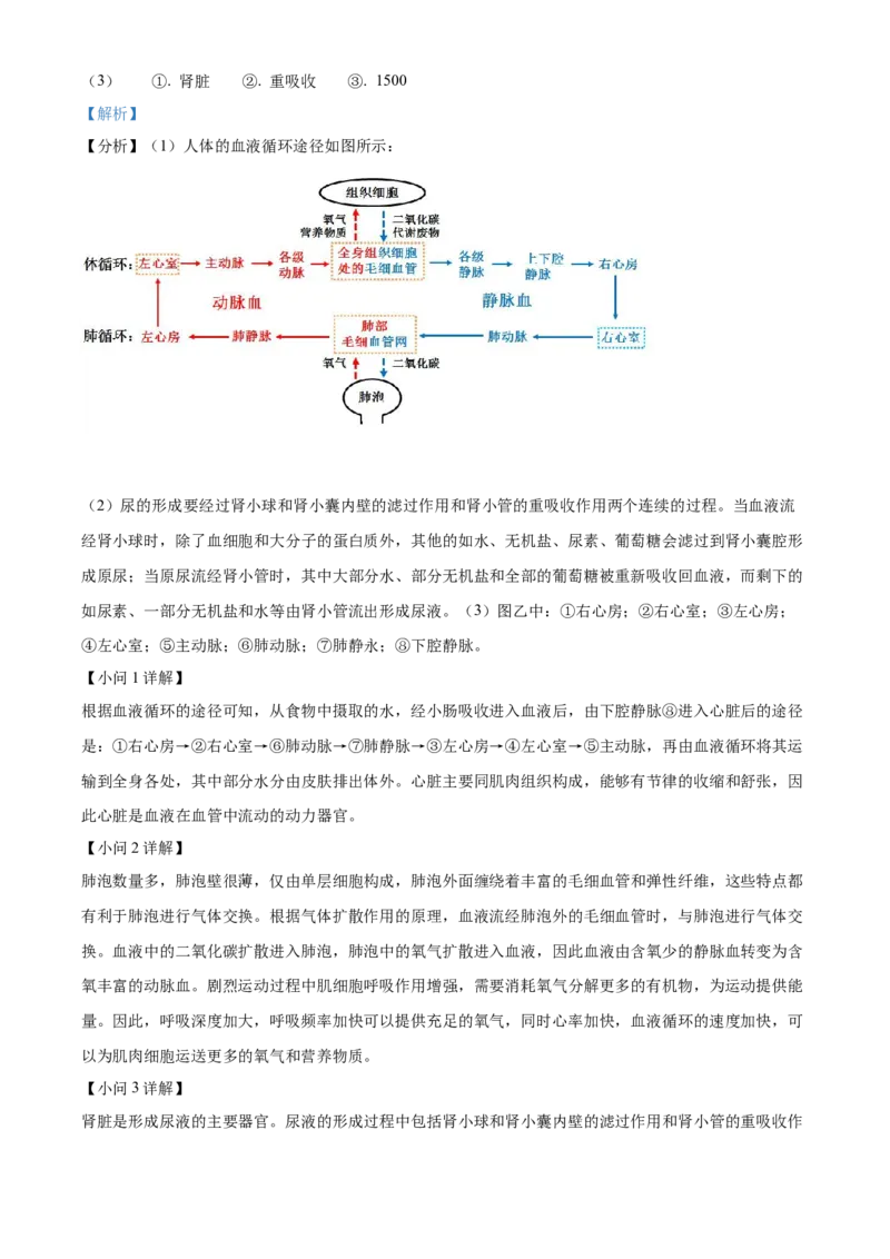精品解析：2022年四川省成都市中考生物真题（解析版）_6生物中考复习_2025中考复习资料_中考真题（近三年）_2022年生物中考真题114份_精品解析：2022年四川省成都市中考生物真题