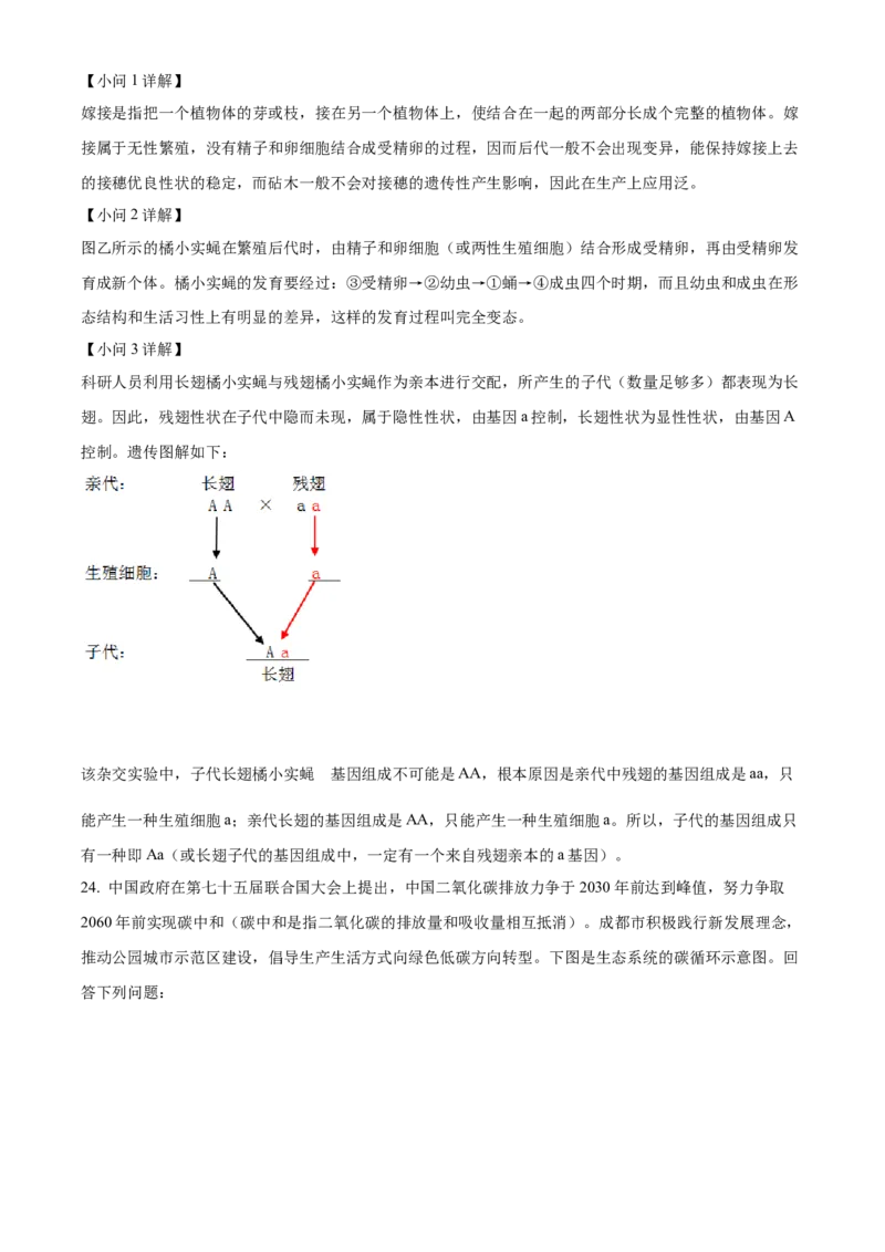 精品解析：2022年四川省成都市中考生物真题（解析版）_6生物中考复习_2025中考复习资料_中考真题（近三年）_2022年生物中考真题114份_精品解析：2022年四川省成都市中考生物真题