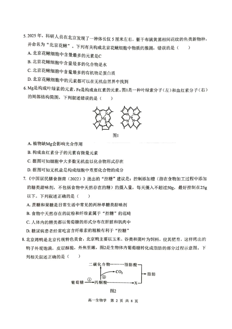 贵百河2025-10月考高一生物试卷_2025年10月高一试卷_251022广西贵百河2025-2026学年高一上学期10月考试卷_贵百河2025-10月考高一生物试卷含答案