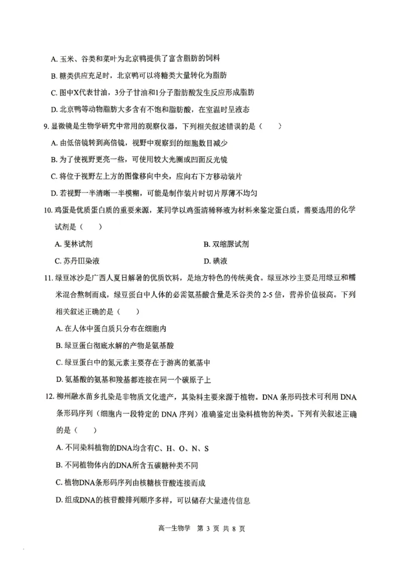 贵百河2025-10月考高一生物试卷_2025年10月高一试卷_251022广西贵百河2025-2026学年高一上学期10月考试卷_贵百河2025-10月考高一生物试卷含答案
